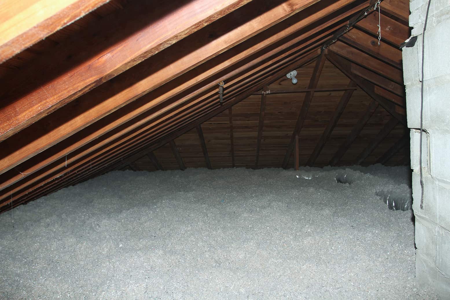Tempco Pest Control team finished restoring an attic.