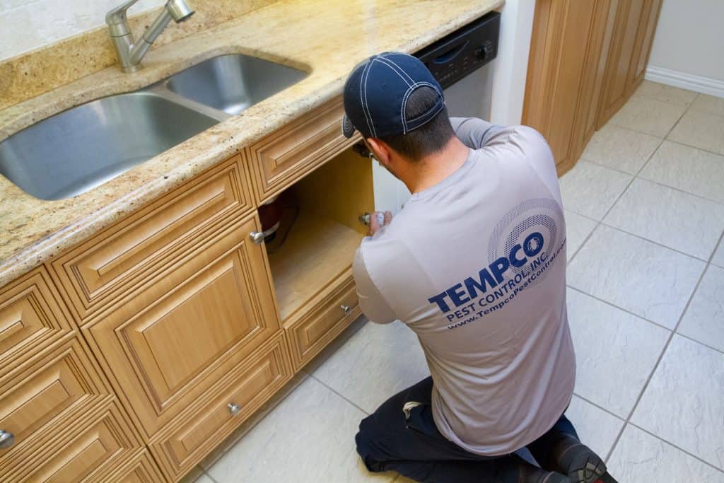 Tempco Tech checking for instects