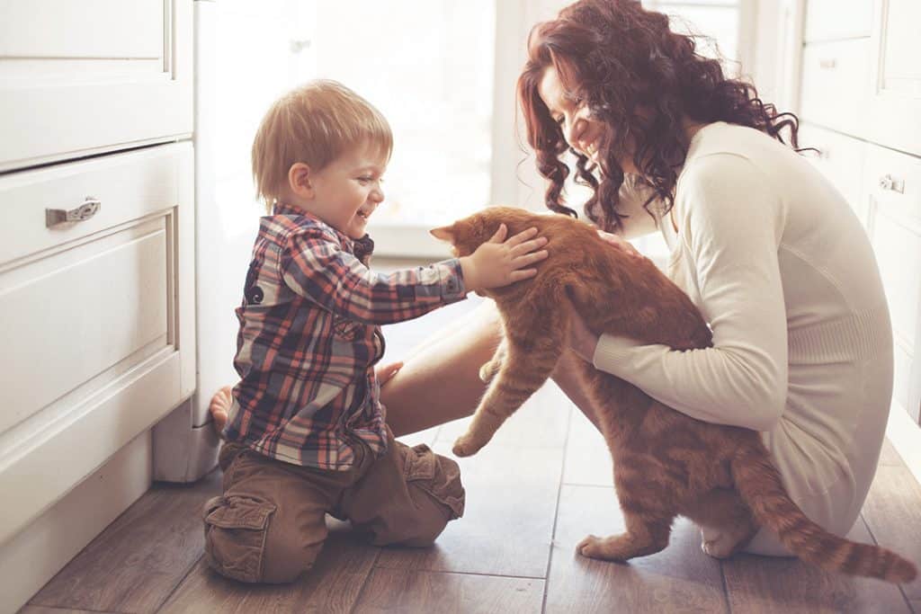 Mom and son playing with their pet cat.