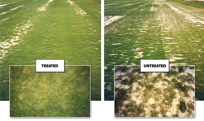 Treated versus untreated lawns by Hydretain